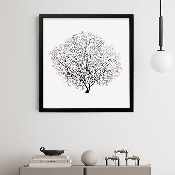 Framed Black Sea Fan - Black Frame